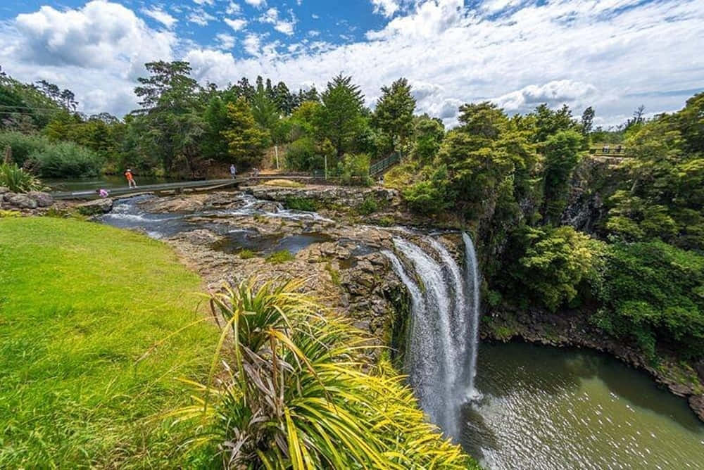 Whangarei Falls Scenic View New Zealand Wallpaper