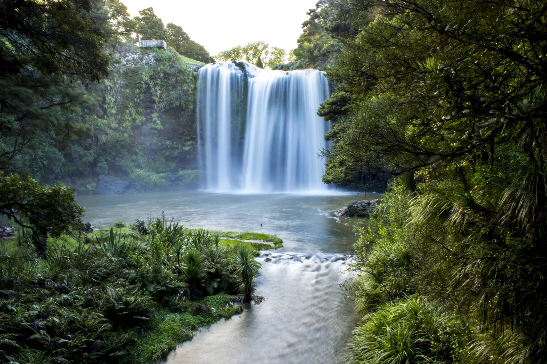 Whangarei_ Falls_ Serenity_ New_ Zealand Wallpaper