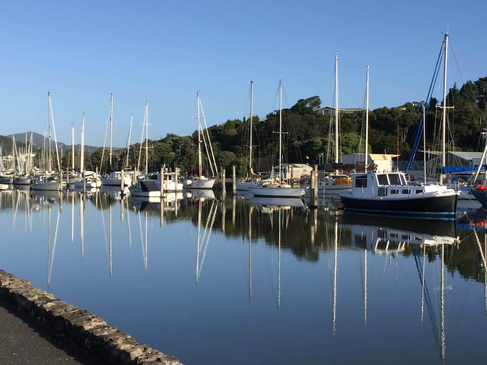 Whangarei Marina Calm Waters Wallpaper