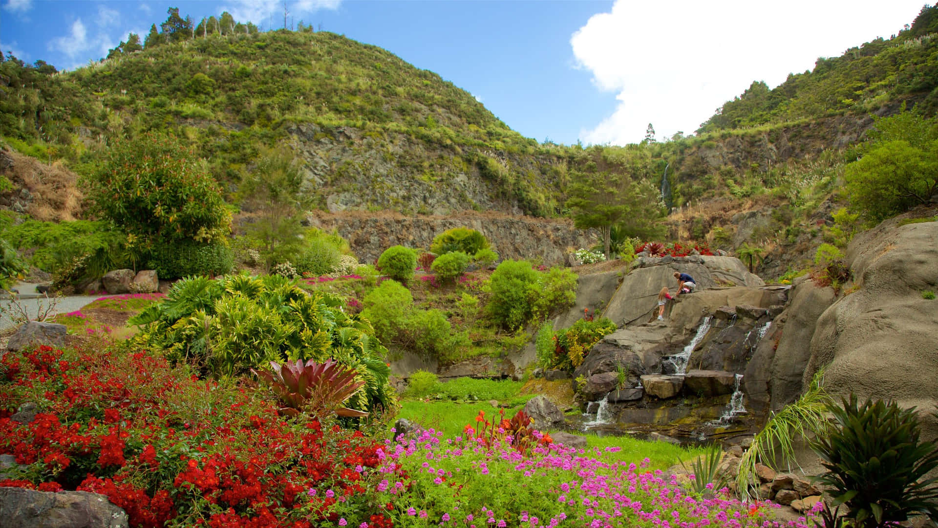 Whangarei Quarry Gardens New Zealand Wallpaper