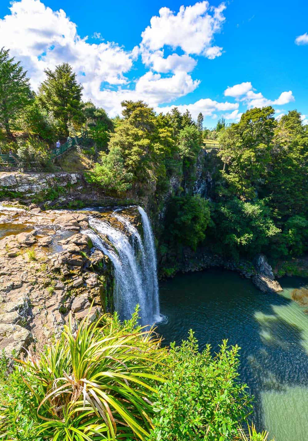 Whangarei Waterfall New Zealand Wallpaper