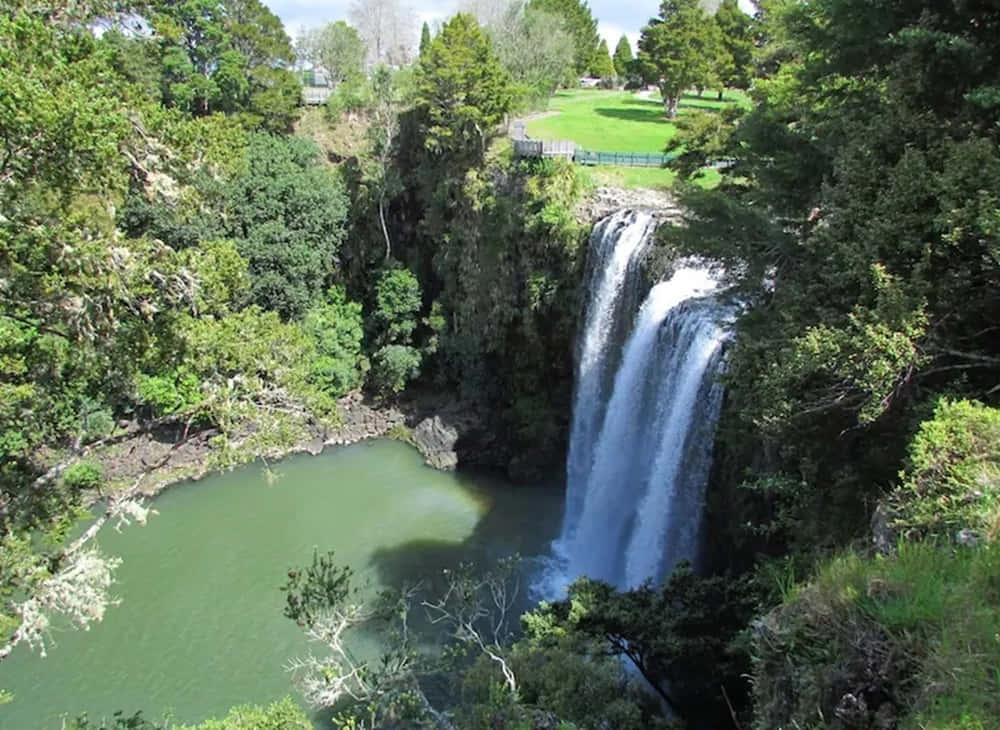 Whangarei Waterfall New Zealand Wallpaper