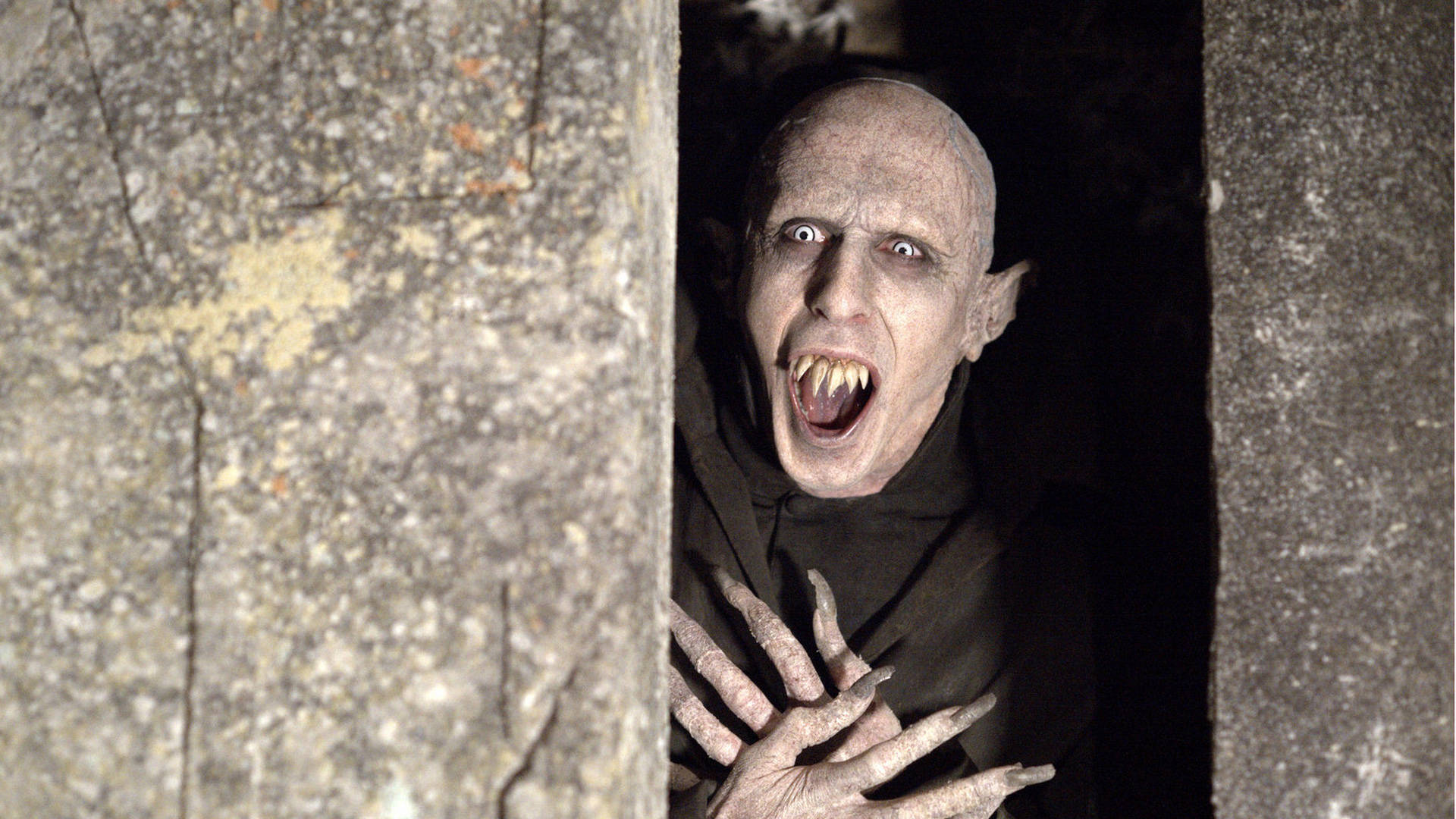 What We Do In The Shadows Shocked Petyr Wallpaper
