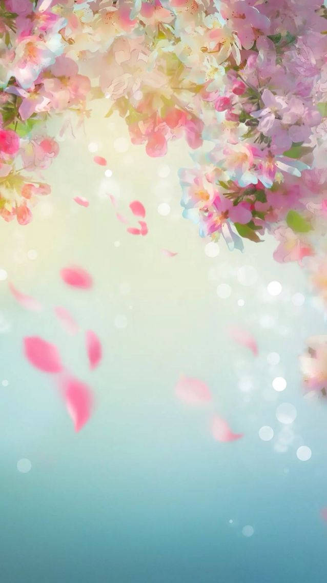 WhatsApp Chat Falling Cherry Blossom Petals Wallpaper