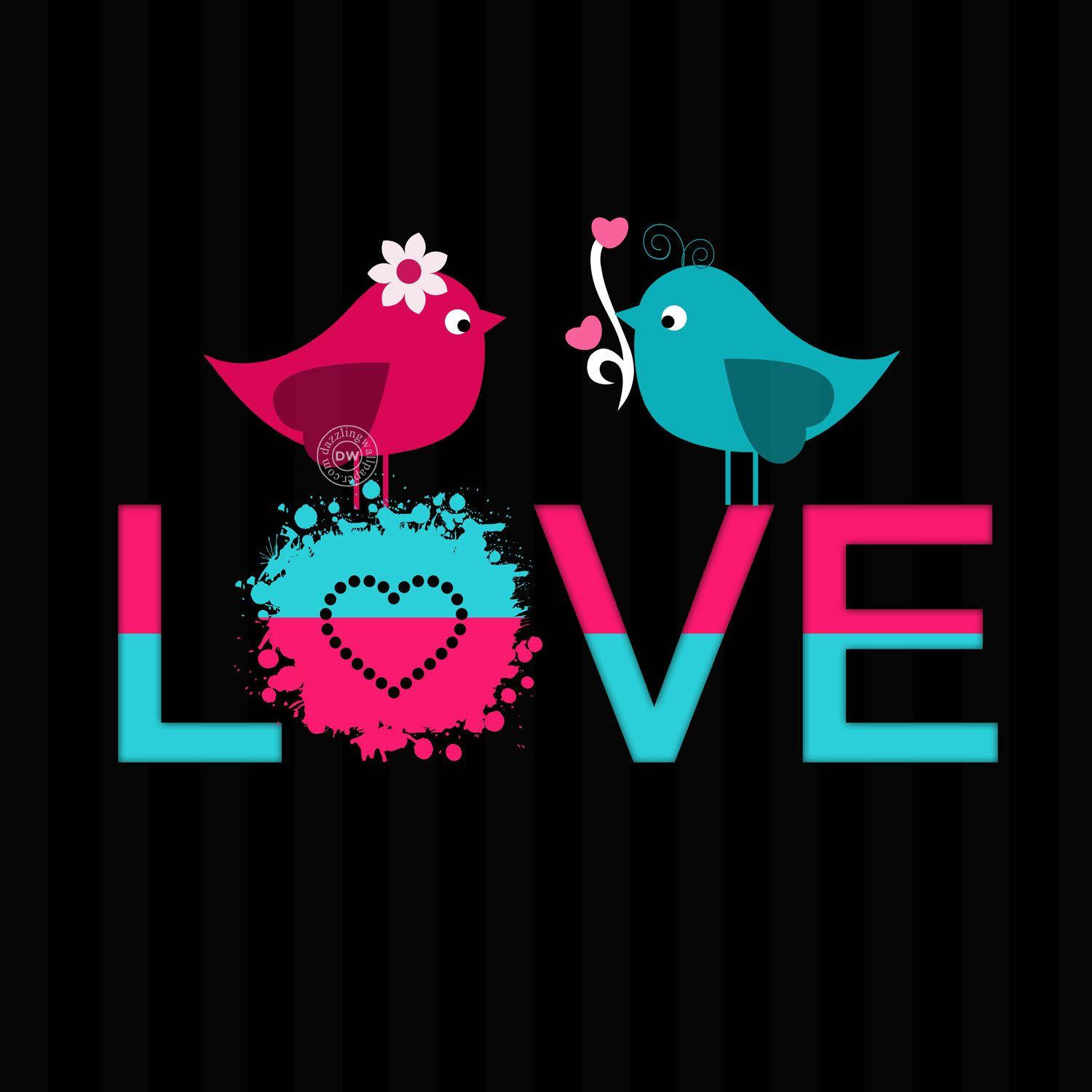 Whatsapp Dp Love Birds Wallpaper