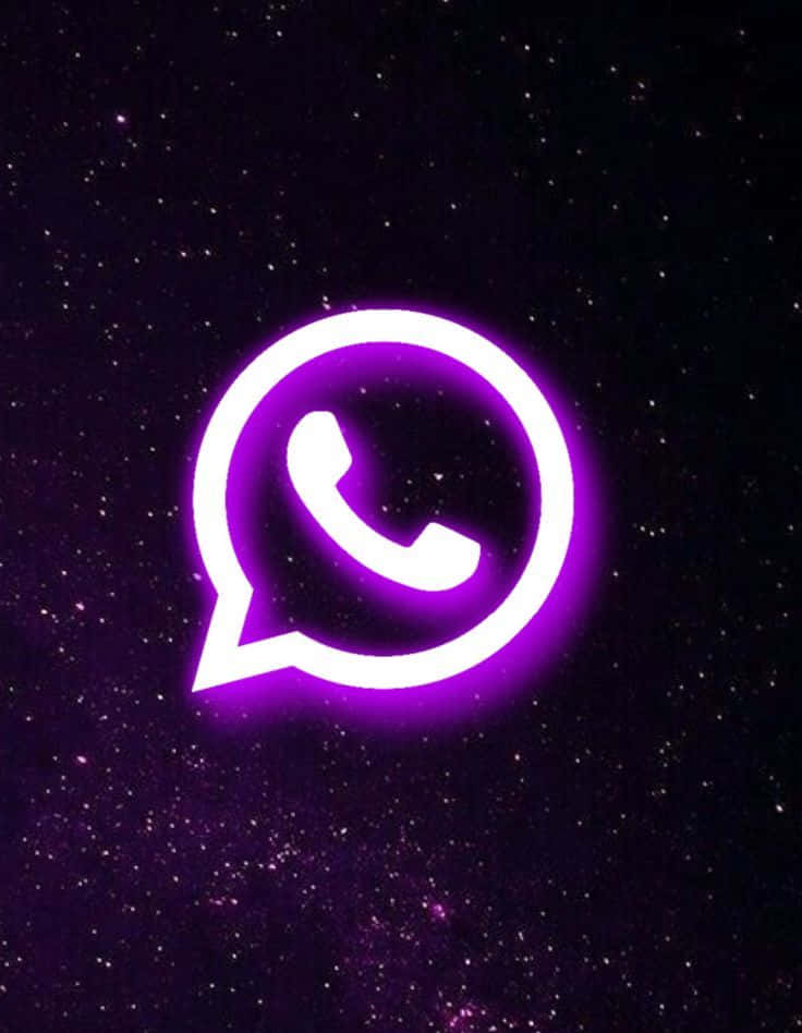 Stay Connected with Whatsapp