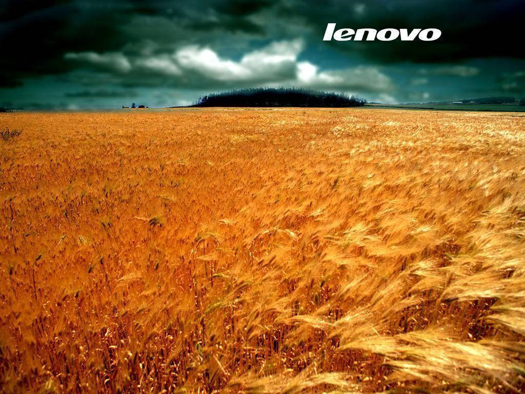 En Hvedemark Lenovo HD Baggrundsbillede: Wallpaper