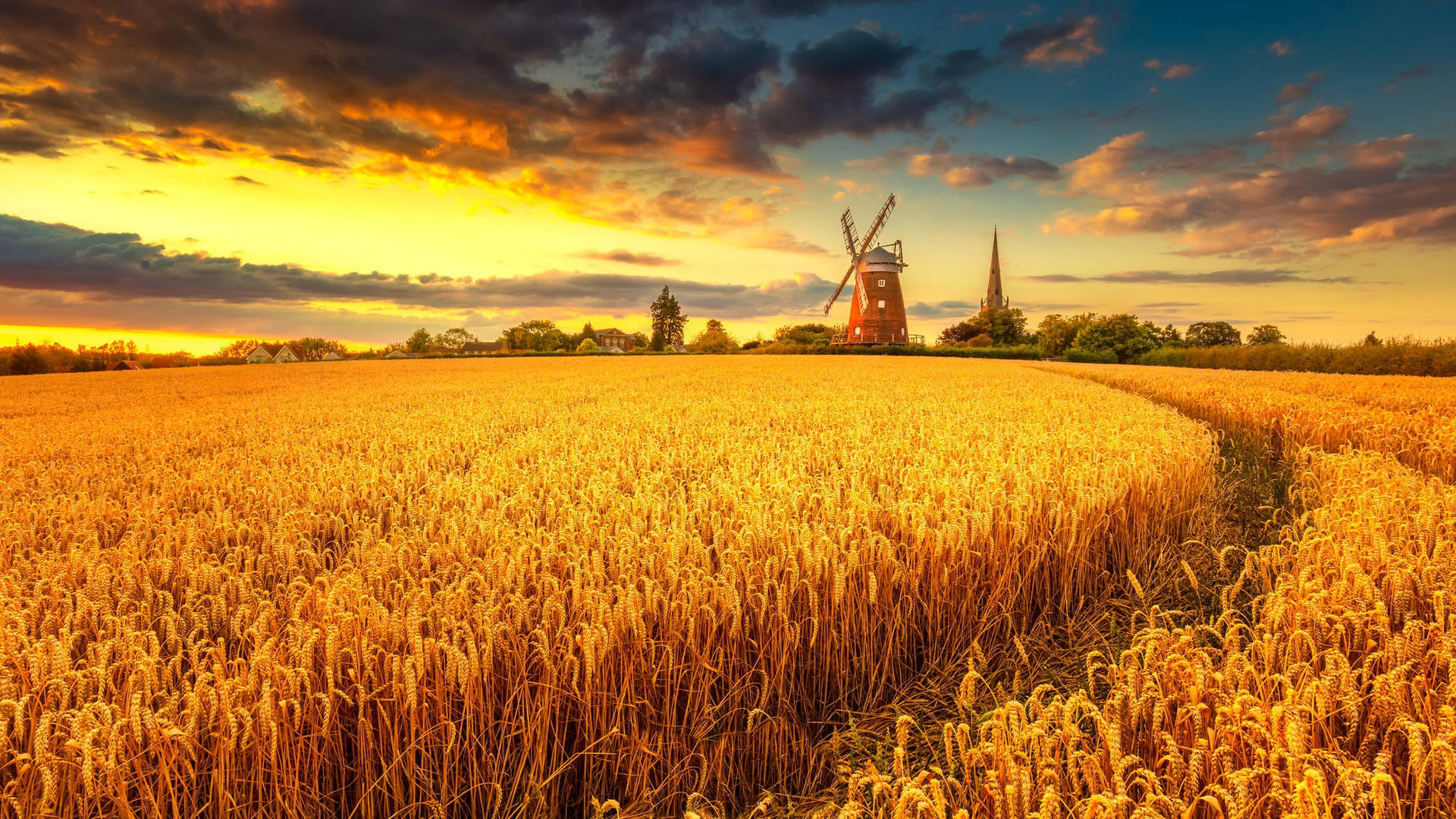 Wheat Field With Windmill Wallpaper