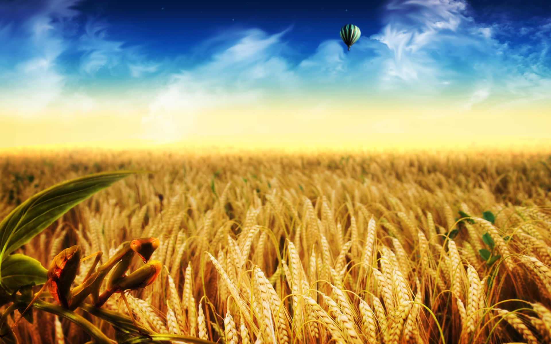 Golden Wheat Harvest in a Sunny Field Wallpaper