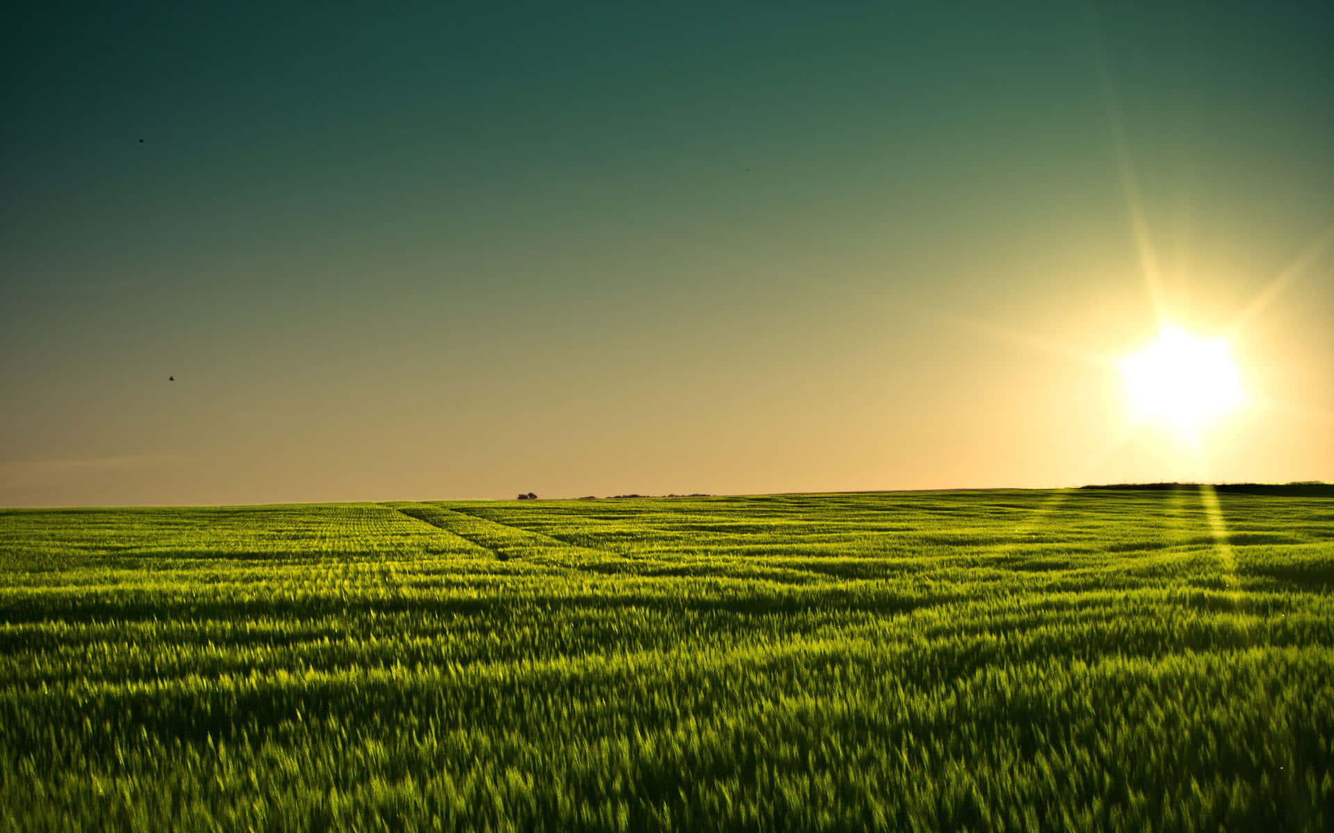 A Green Field With The Sun Setting Behind It