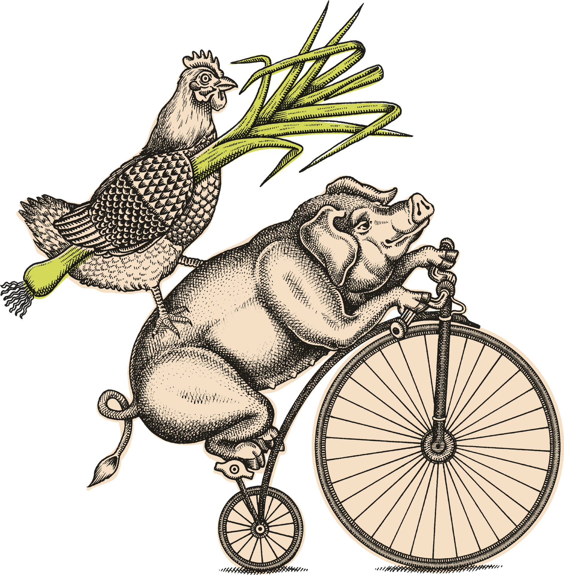 Whimsical Hippoand Chickenon Bicycle Leek Flight PNG