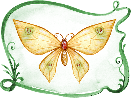 Whimsical Watercolor Butterfly PNG