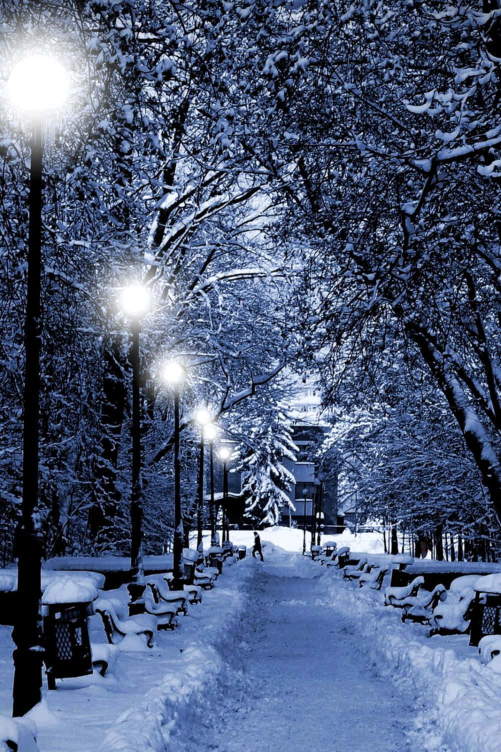 "whimsical Winter Wonderland"