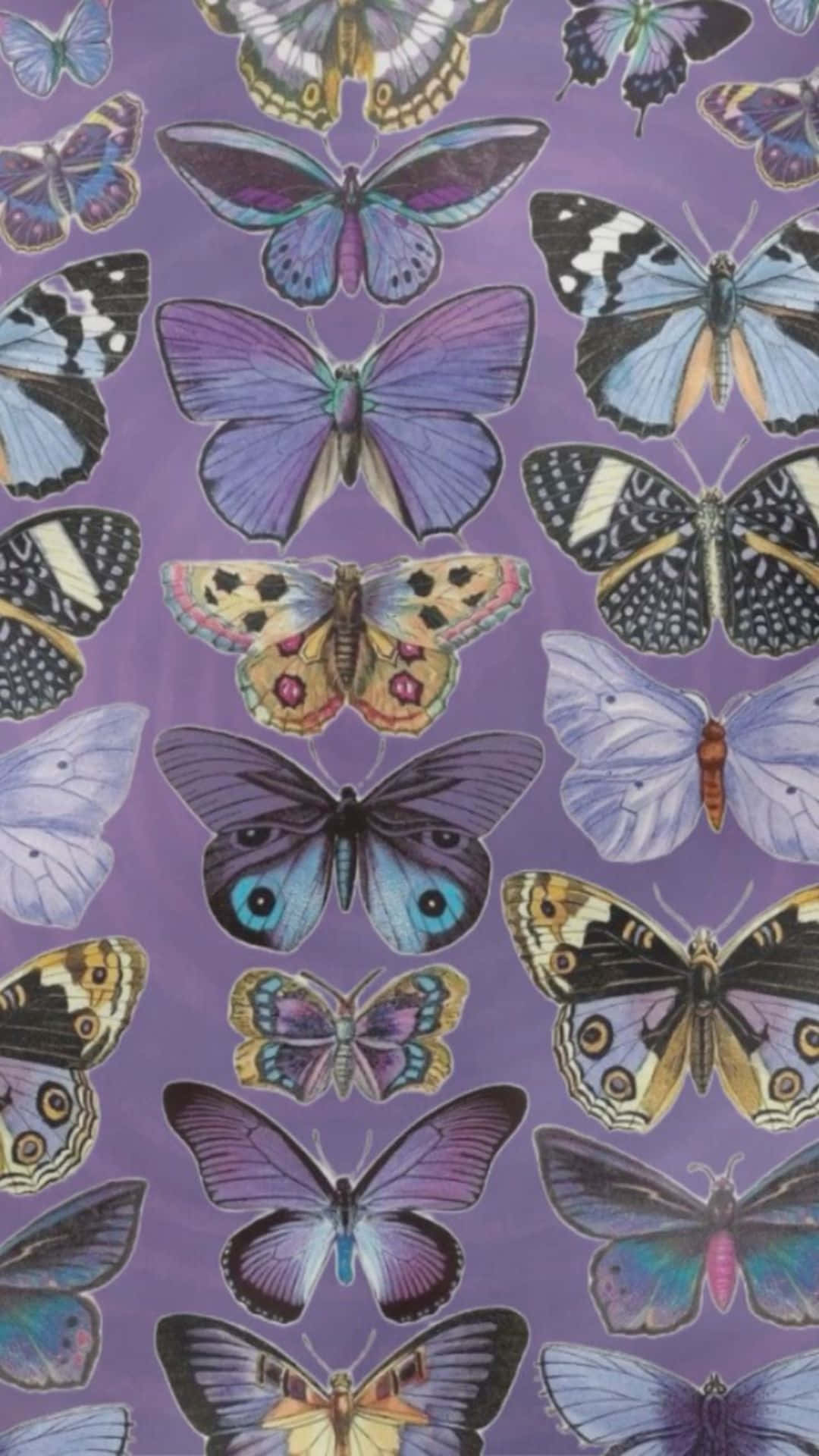Whimsigoth Butterfly Pattern Wallpaper