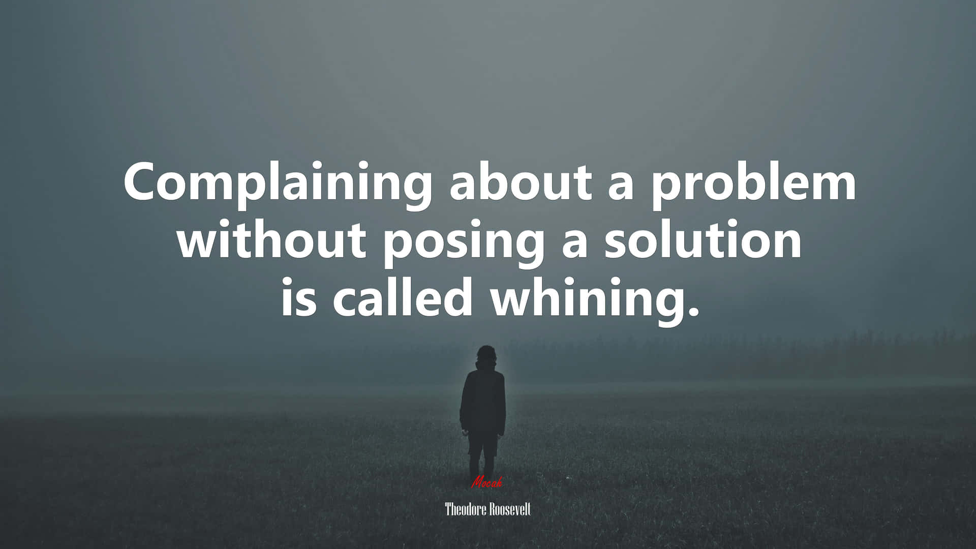 Whining Quote Foggy Field Wallpaper