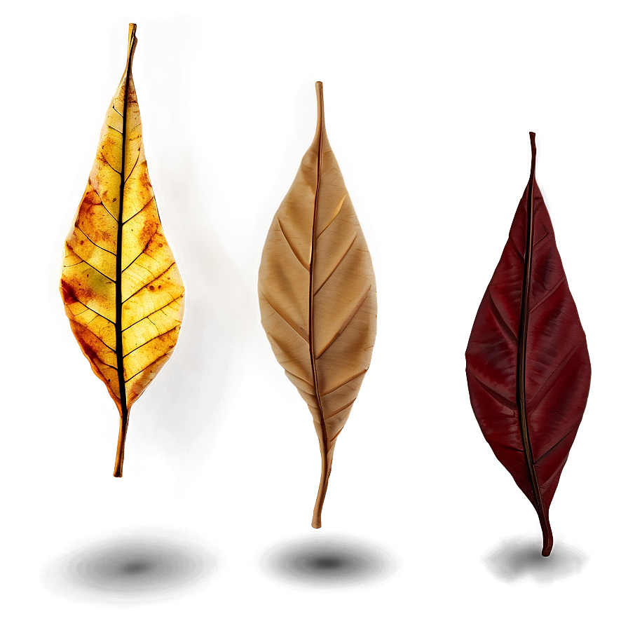 Whirling Autumn Leaves Png 20 PNG