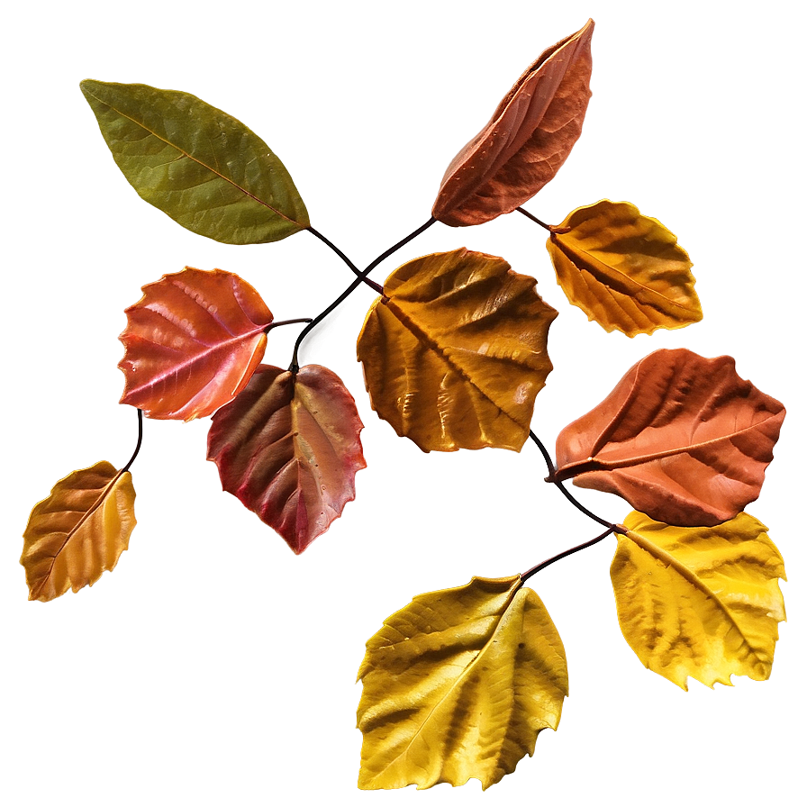 Whirling Autumn Leaves Png Uwj PNG