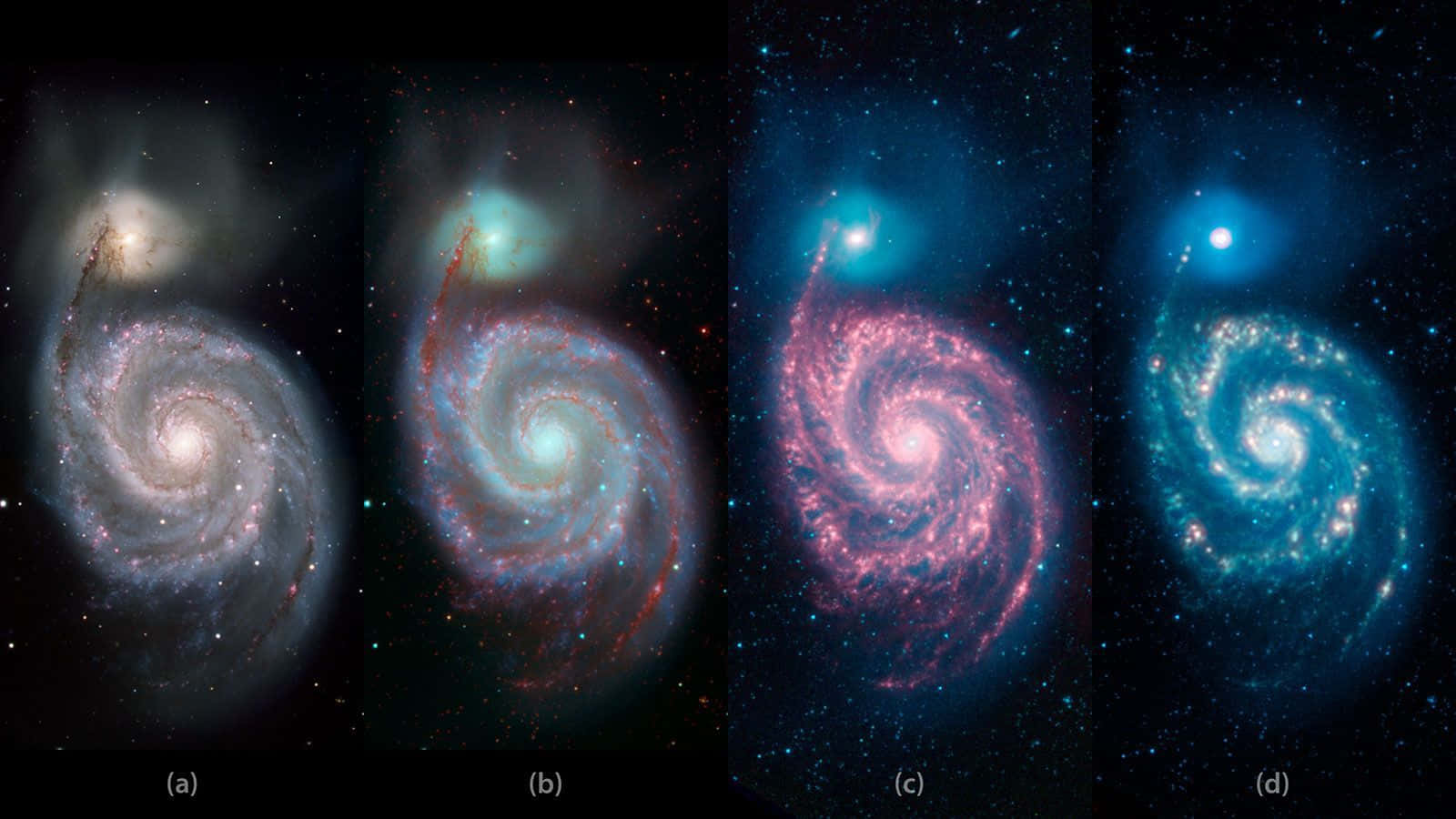 Captivating View of Whirlpool Galaxy Wallpaper