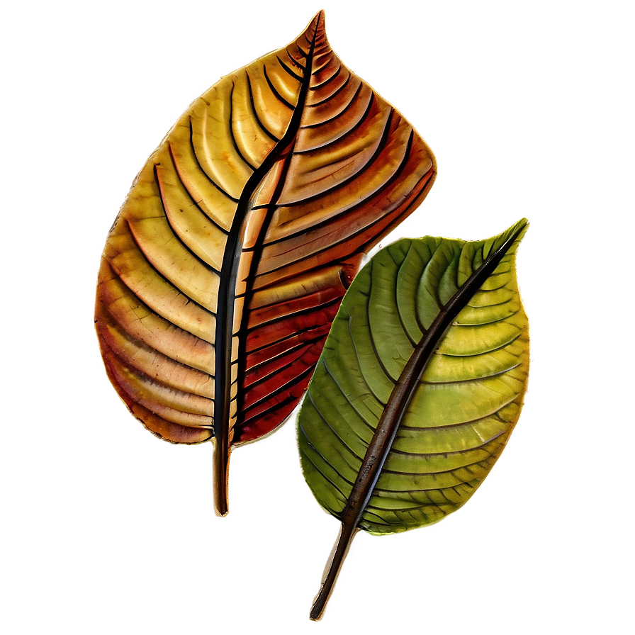 Whispering Autumn Leaves Png Ahe PNG