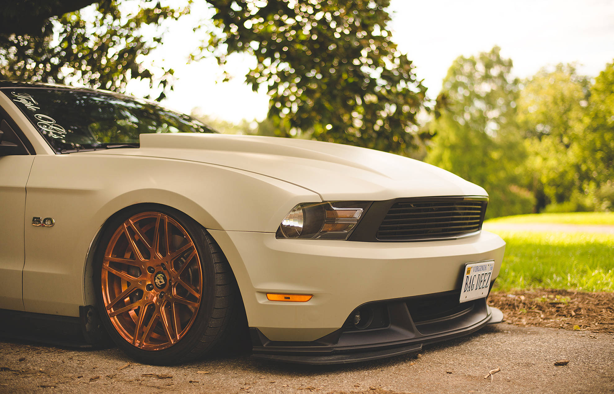 White 2010 Ford Mustang Hd Wallpaper