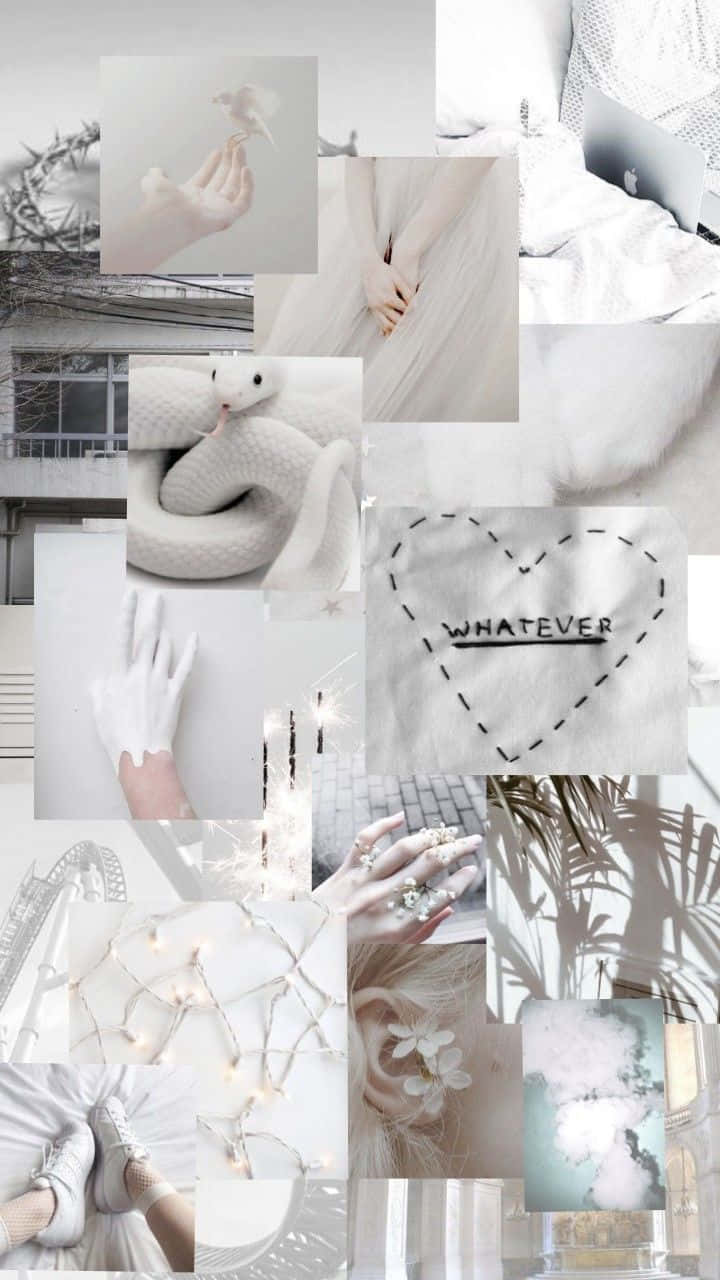 Free White Aesthetic Collage Pictures , [100+] White Aesthetic