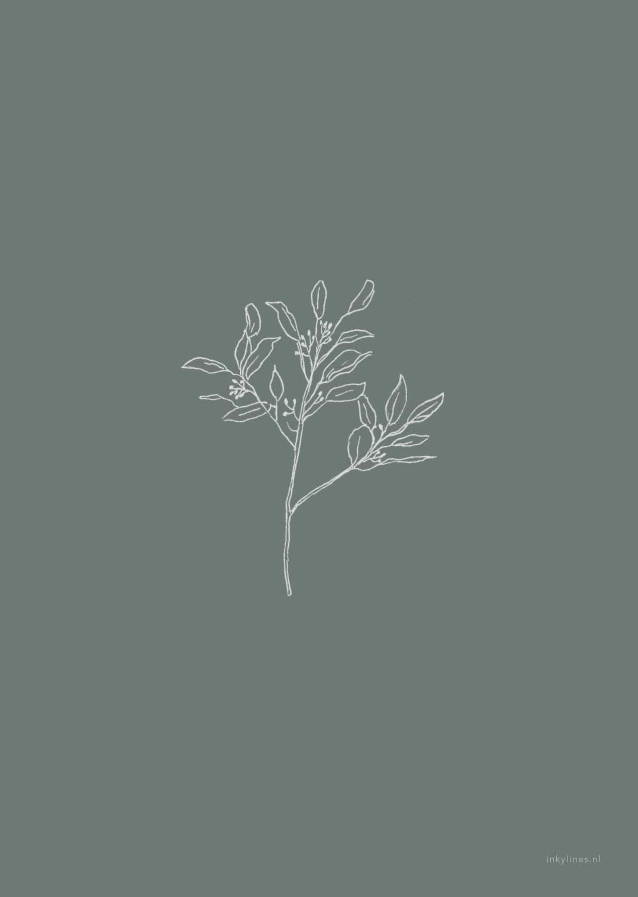 White Aesthetic Cute Plant Wallpaper