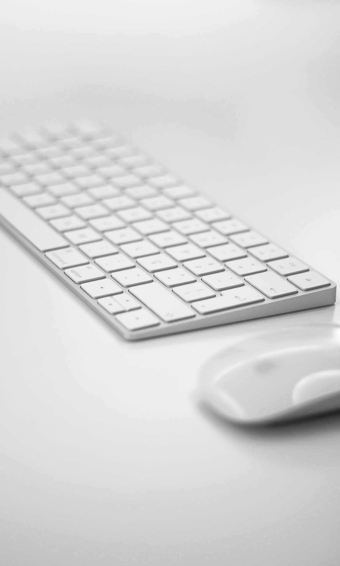White Aesthetic Keyboard And Mouse Picture