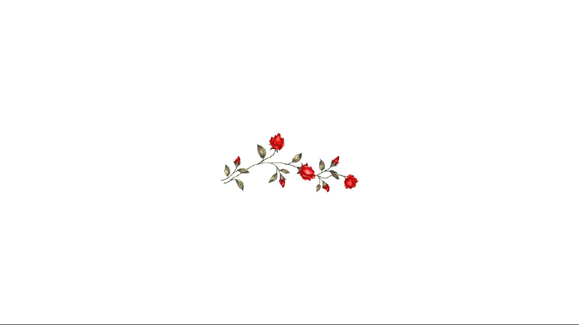 A Red Flower With Leaves On A White Background Wallpaper