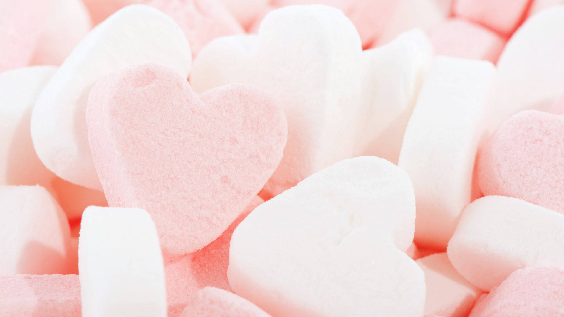 White And Baby Pink Hearts Wallpaper