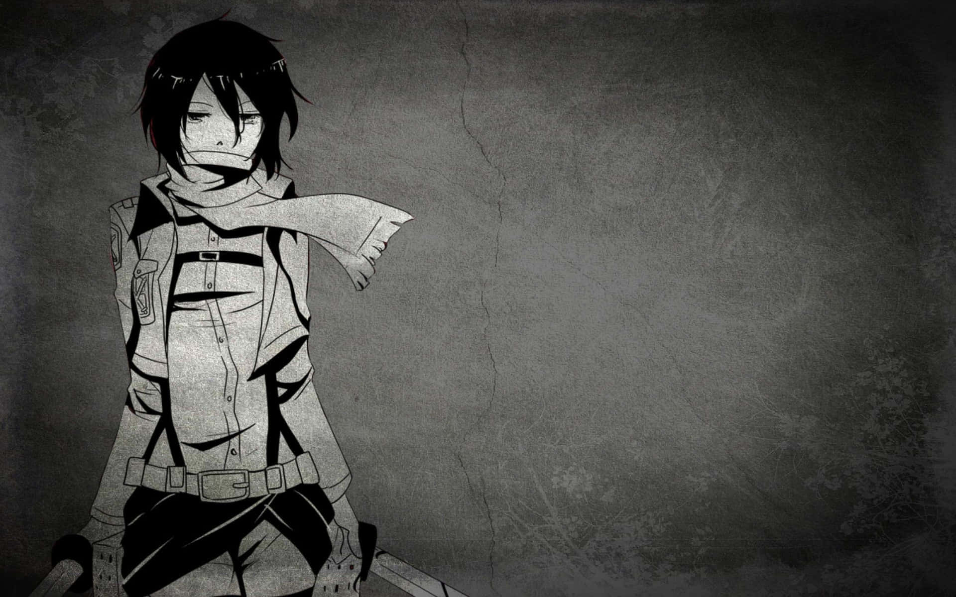 Weißschwarzes Anime-benutzerbild Mikasa Wallpaper