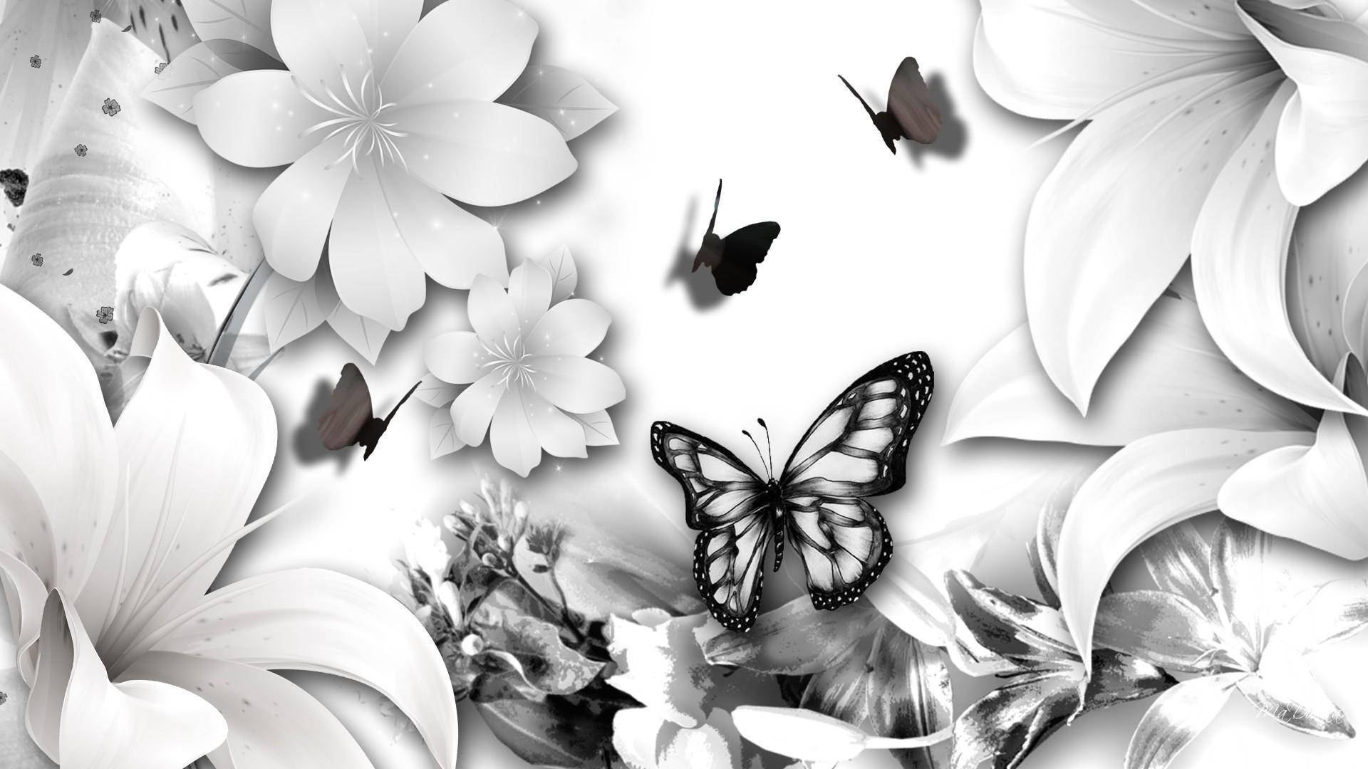 White And Black Butterfly Graphics Wallpaper