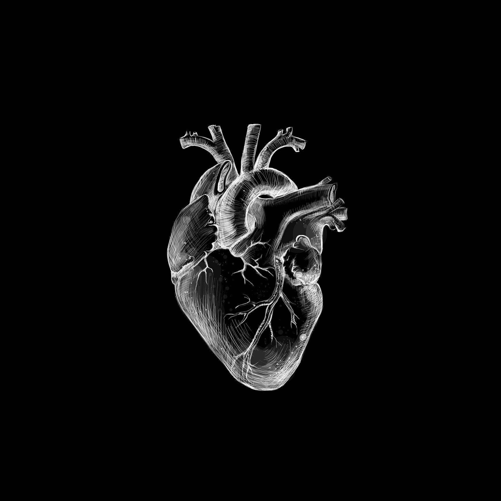 White And Black Heart Aesthetic Anatomy Wallpaper
