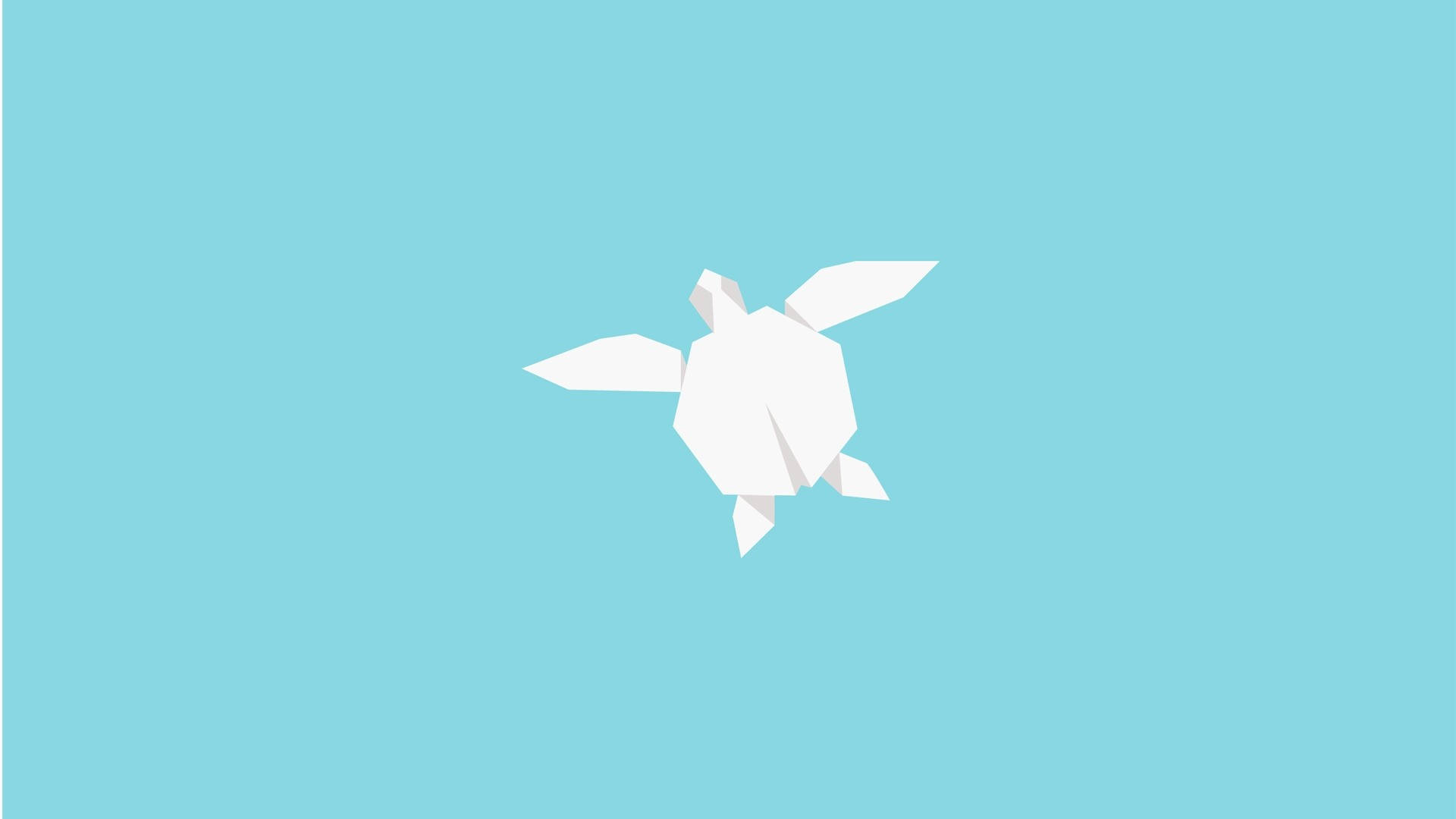 White And Blue Cartoon Turtle Wallpaper
