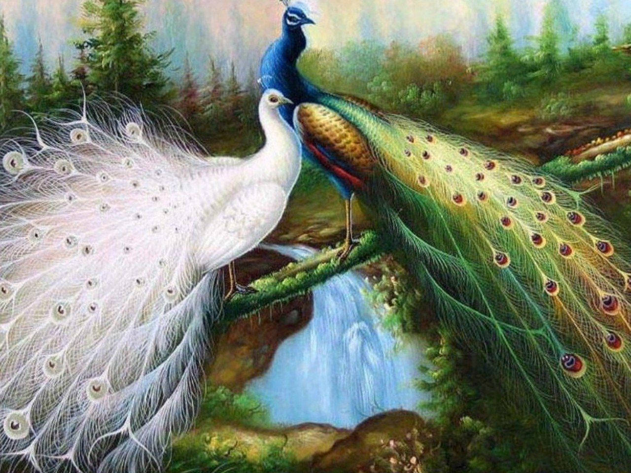 White And Blue-Green Peacock Painting Wallpaper