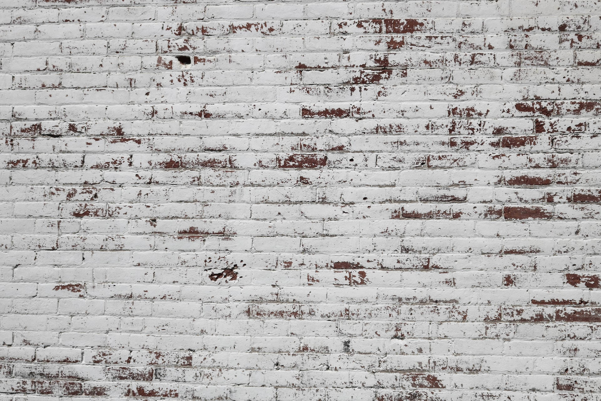 White And Brown Brick Wall Wallpaper