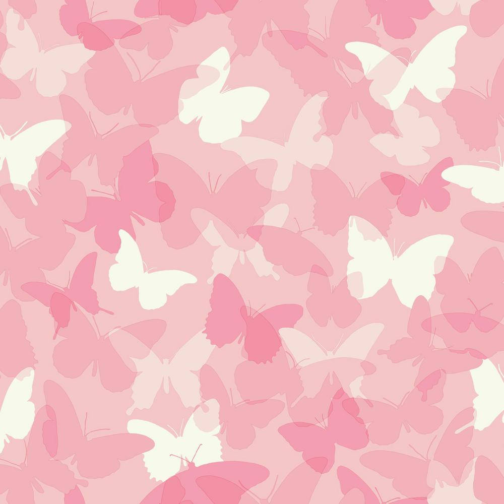 White And Cute Pink Butterfly Drawings Wallpaper