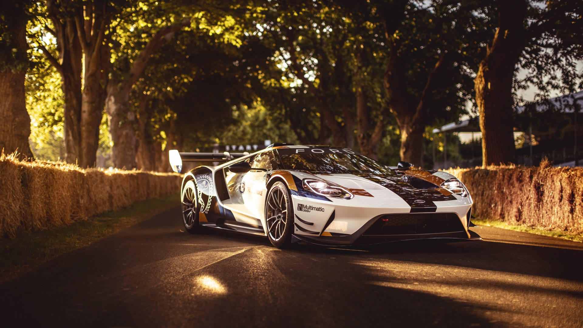 White And Gold Ford Gt Wallpaper