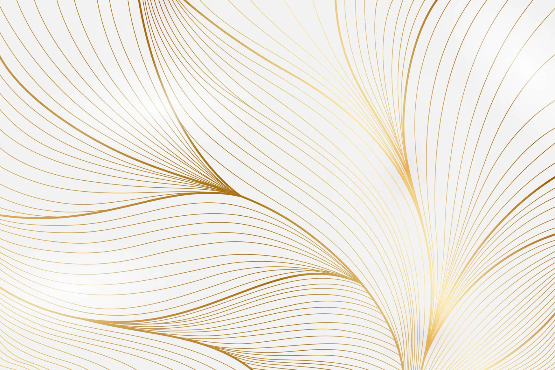 White And Gold Leaves Wallpaper