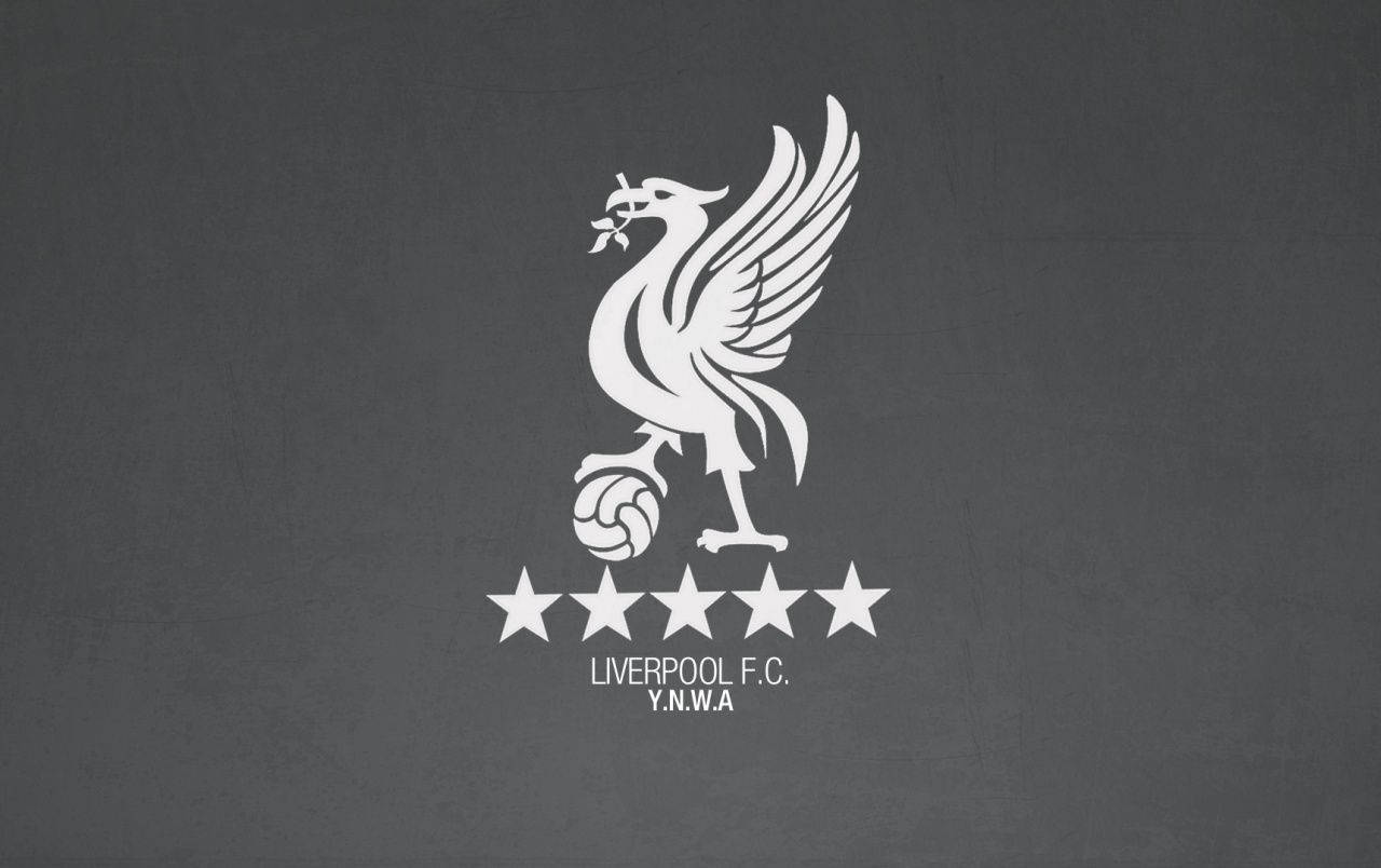 White And Gray Liverpool Fc
