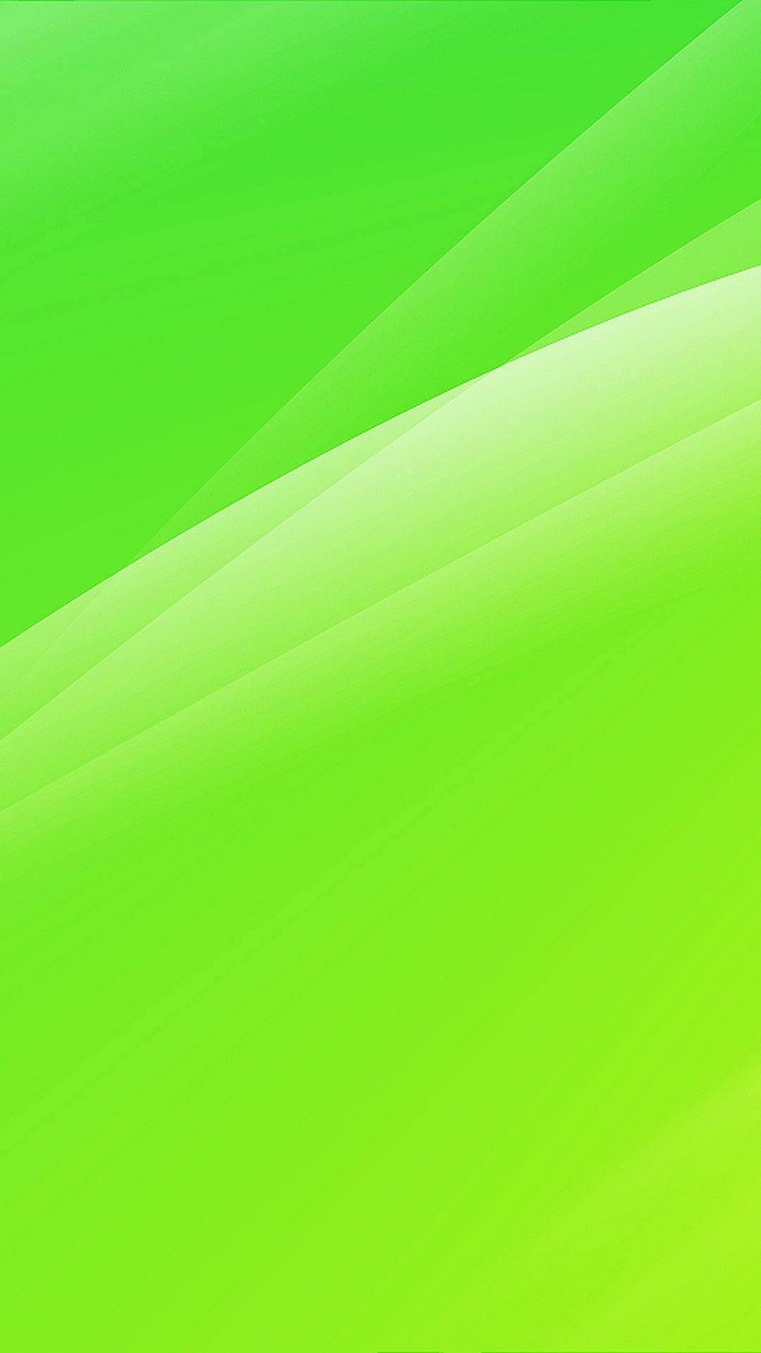 White And Light Green Phone Wallpaper