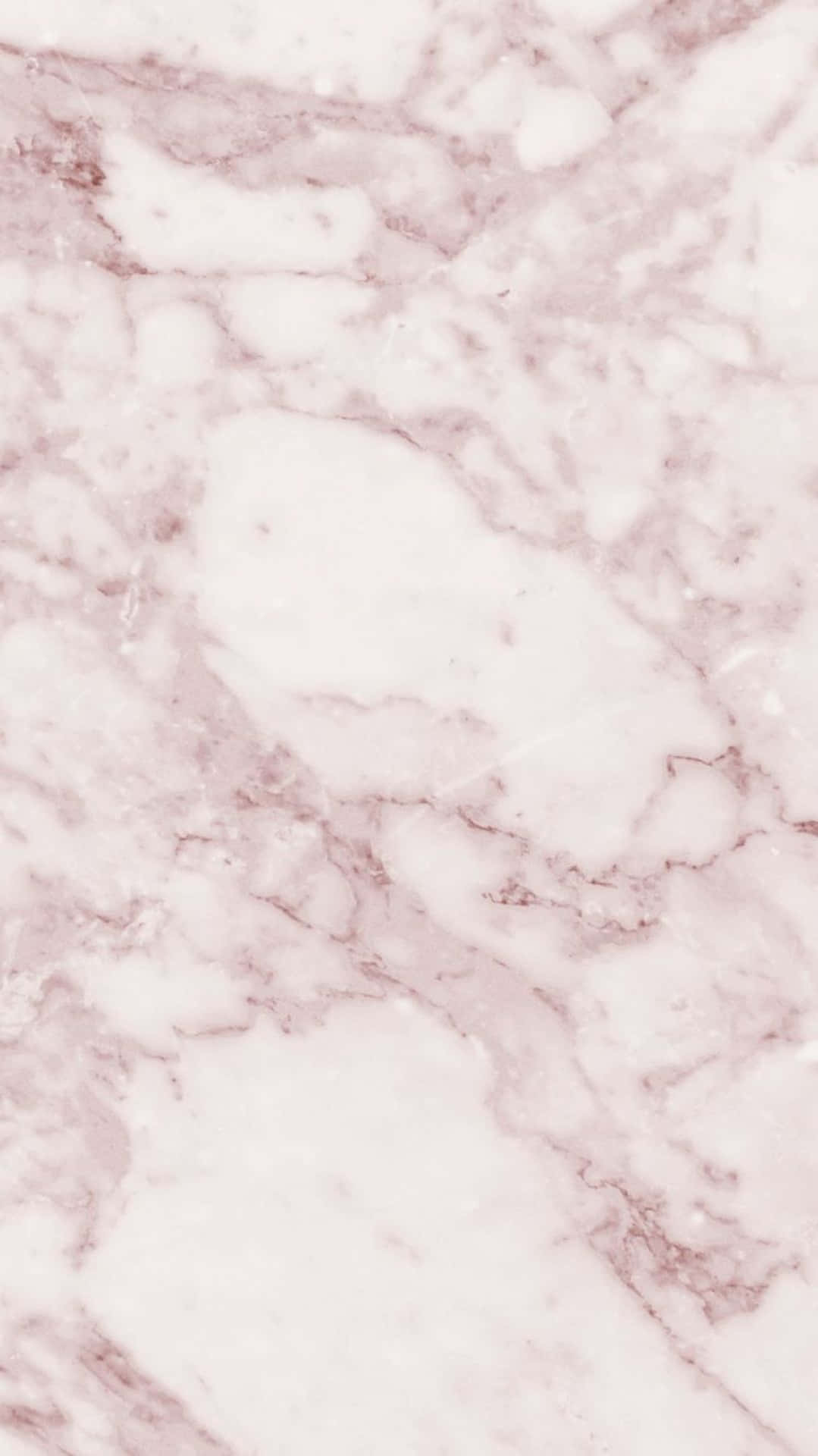 A classic combination of white and pink in this vibrant background