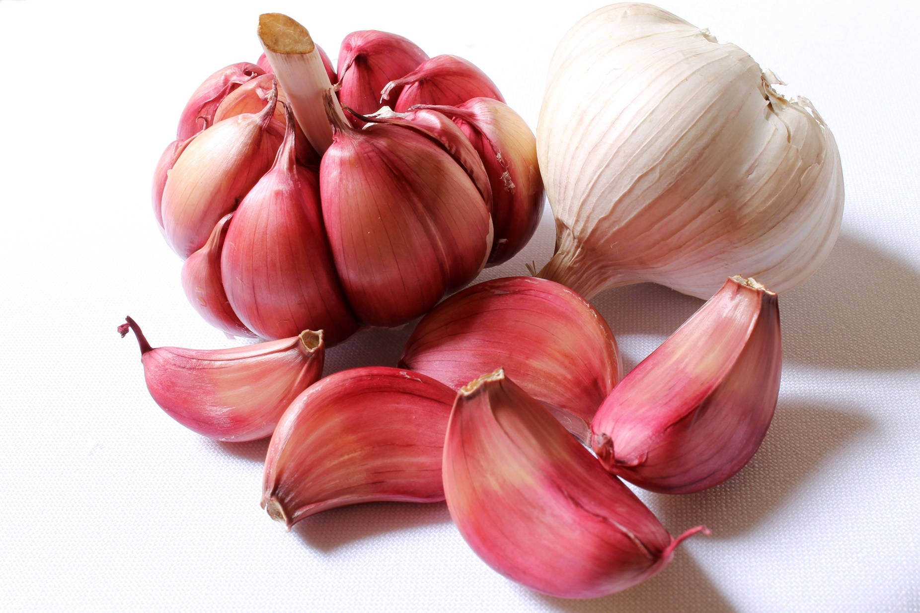 White And Red Garlic Vegetable Herb Wallpaper
