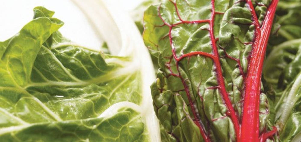 Fresh and Healthy White and Red Swiss Chard Wallpaper