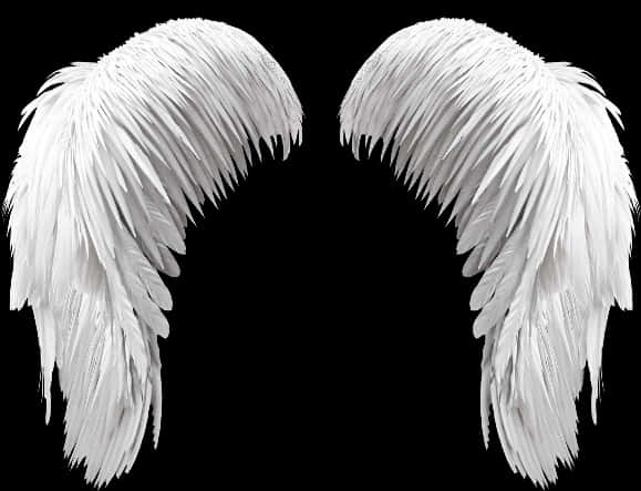 White Angel Wings Black Background PNG