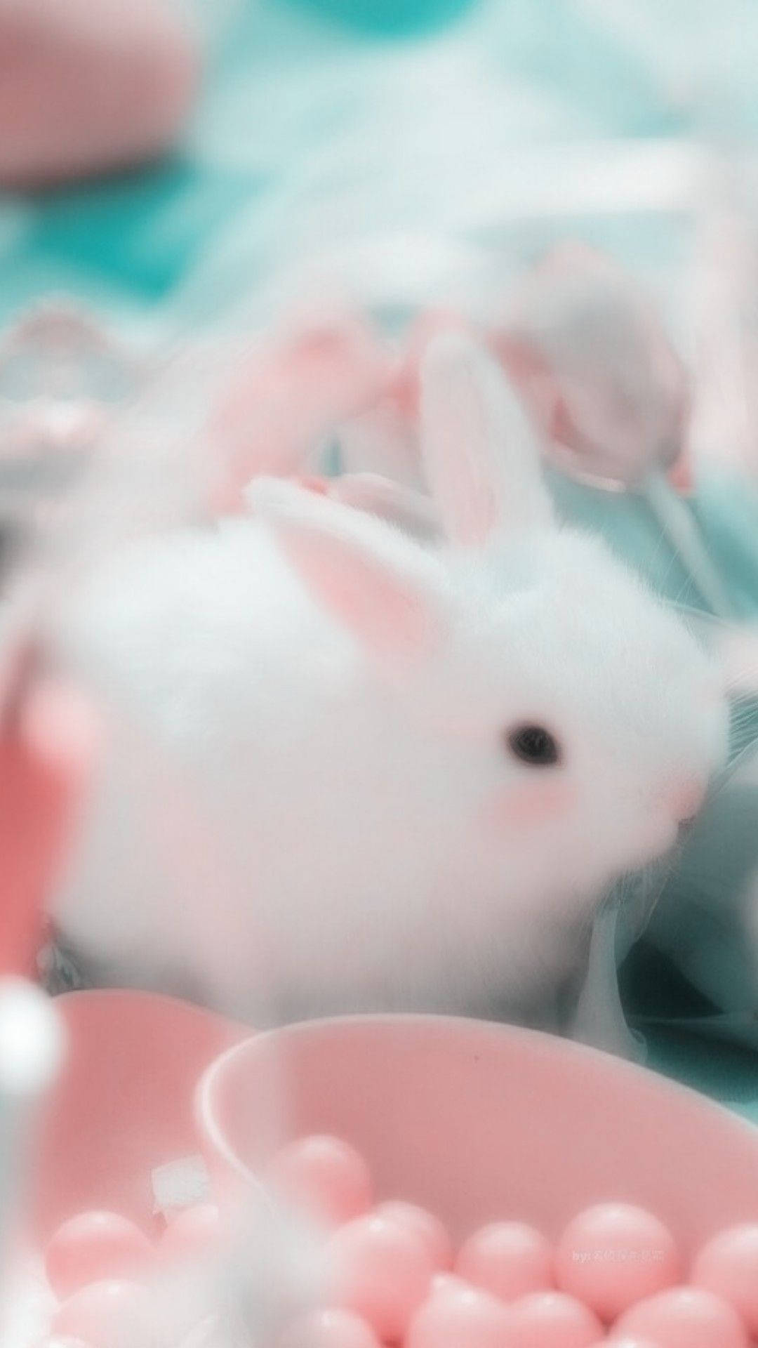 Weißesbaby-kaninchen In Rosa Ästhetik Wallpaper