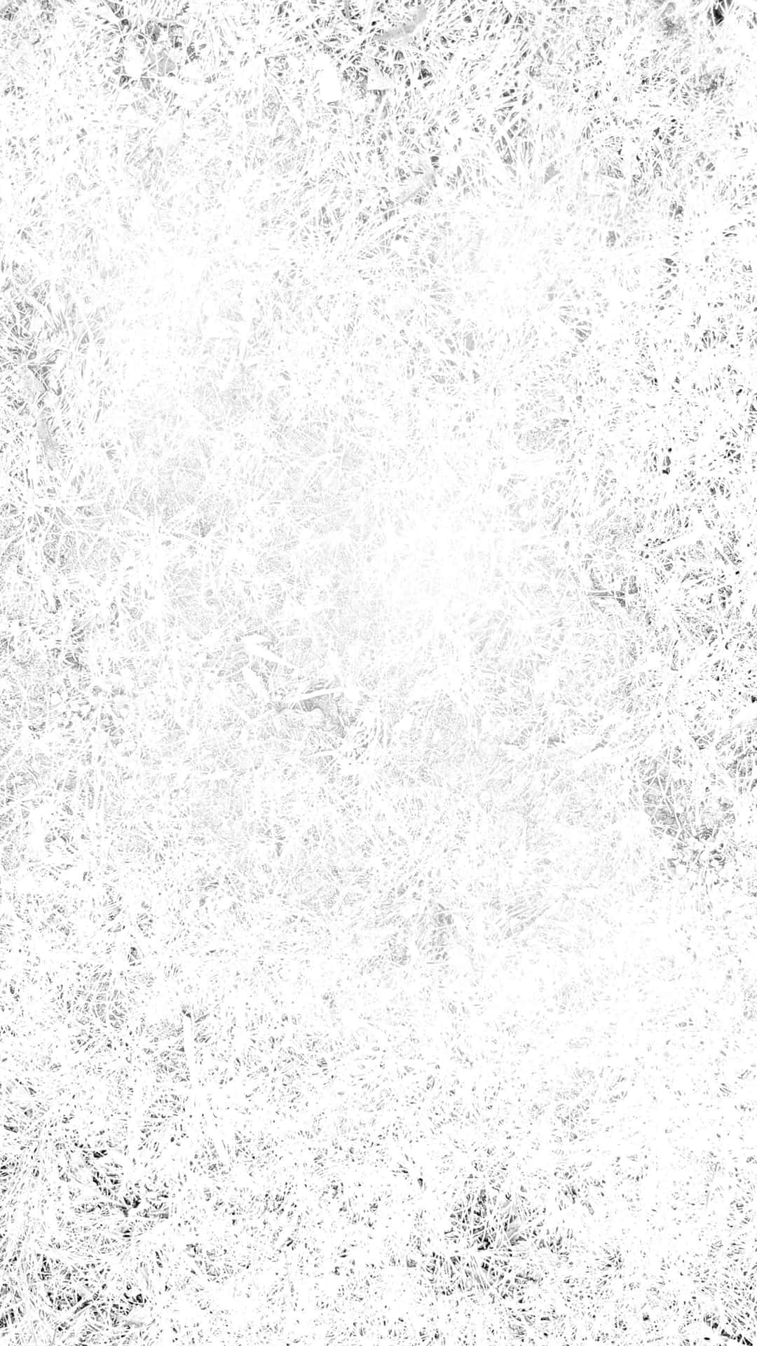 White Background Wallpaper Wallpaper