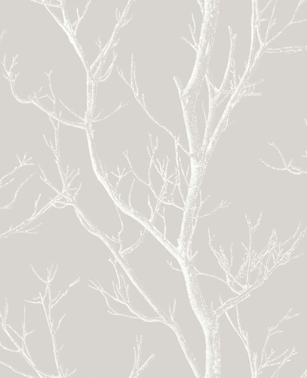 Snow Tree Wallpaper in Black by Colefax and Fowler