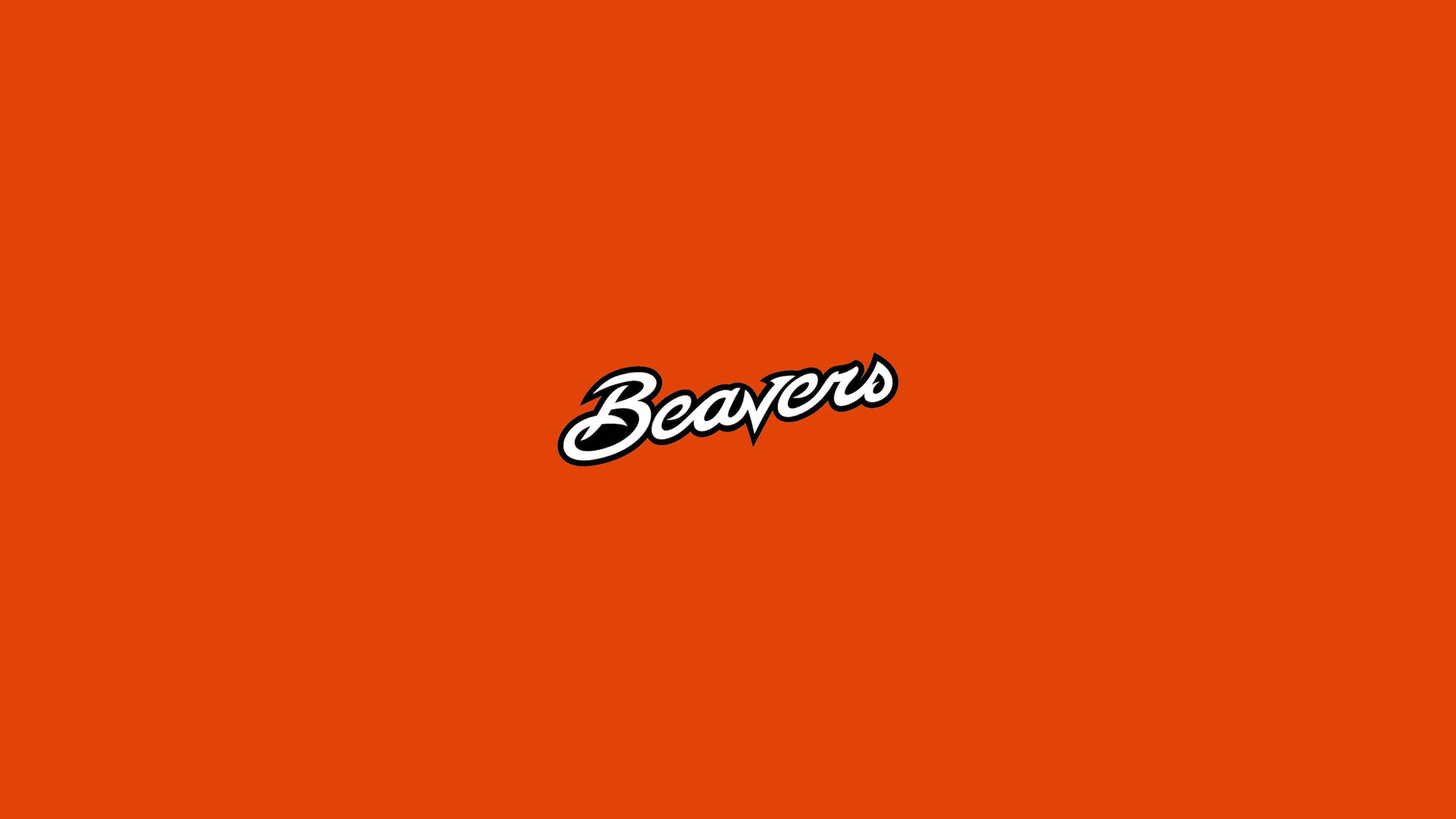 Hvide Beaver Oregon State University Orange Logo Wallpaper