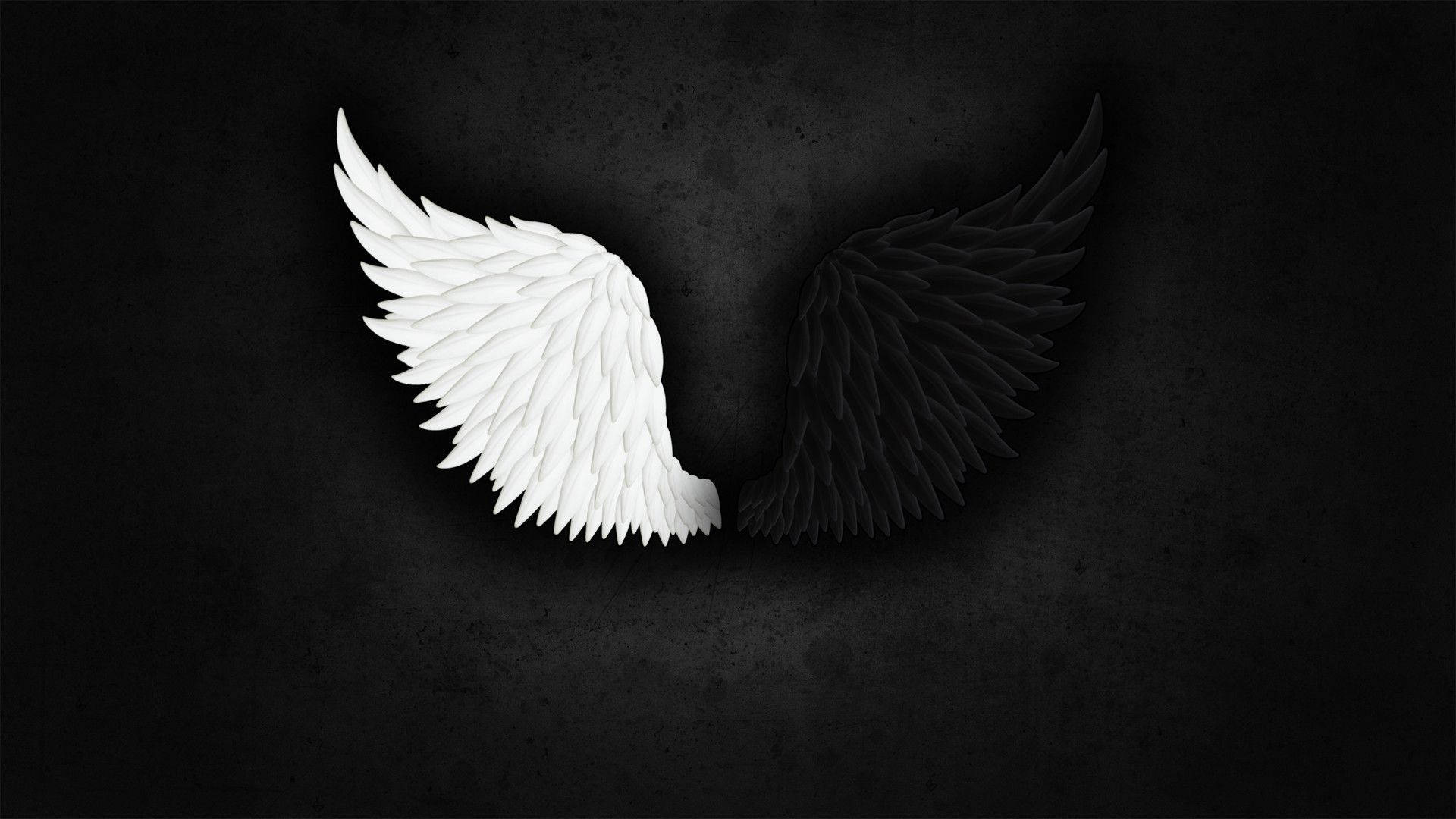 White Black Angel Wings Wallpaper