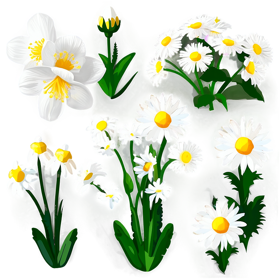 White Blooming Flowers Garden Png Gcx14 PNG